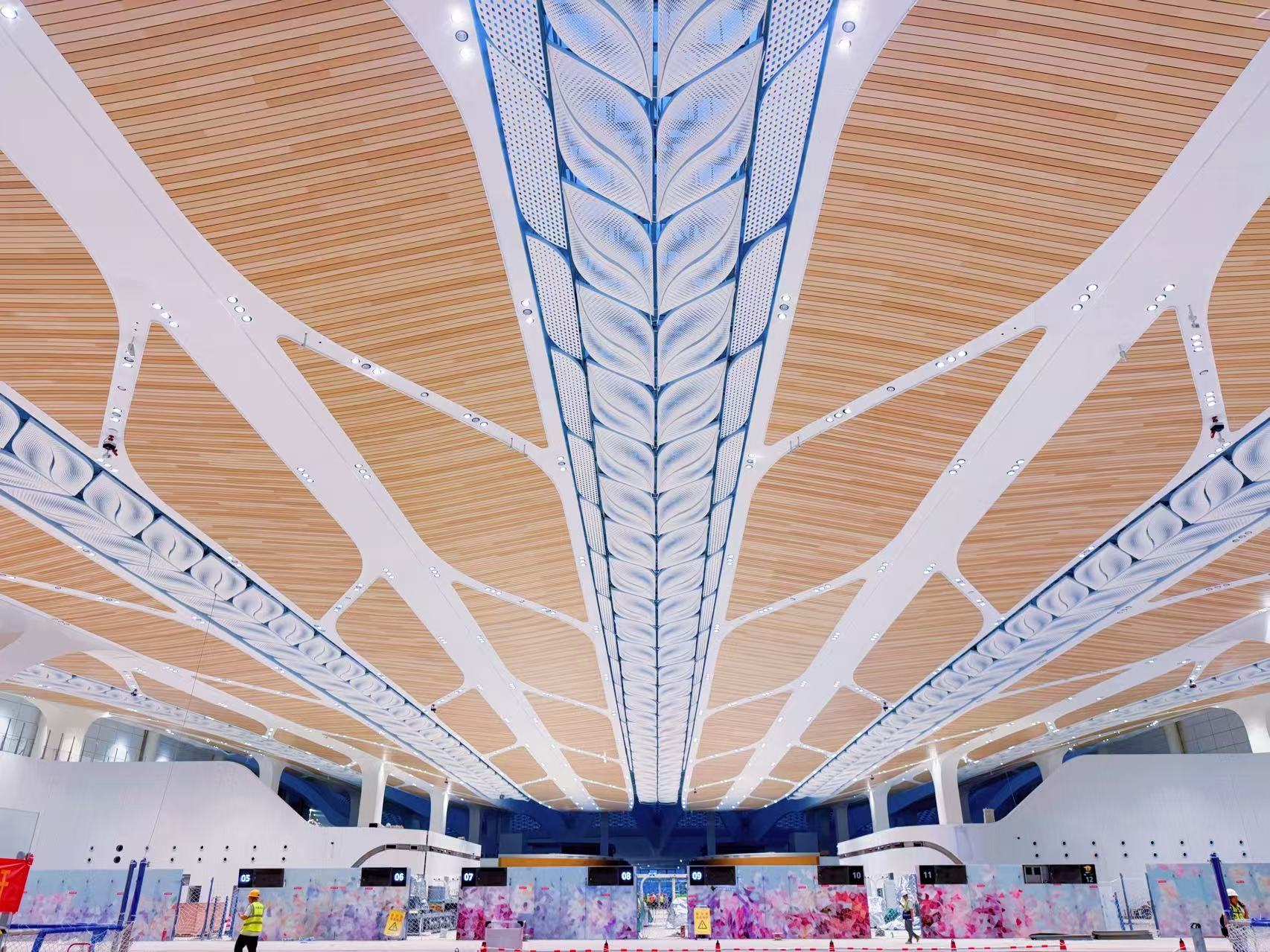 W020251030437836781309.jpg W020251030437836781309.jpg