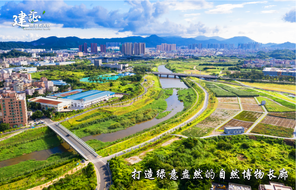 海报10.png