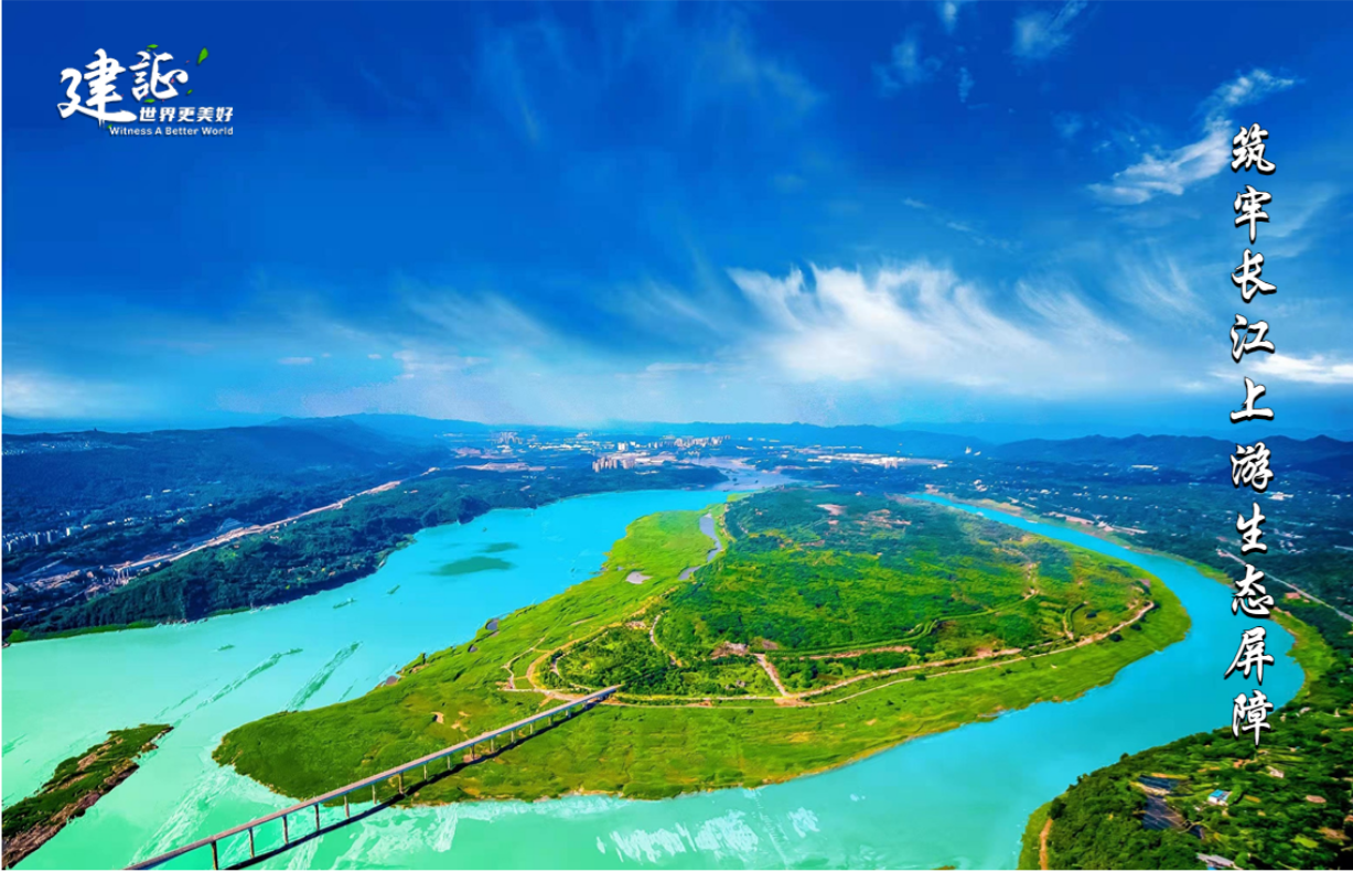 海报11.png
