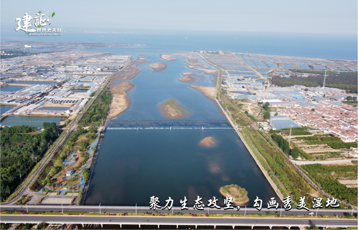 海报6.png
